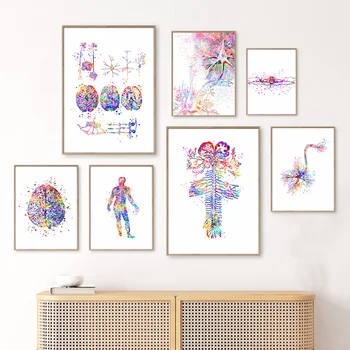 Možganske Anatomije Biologijo Wall Art Platno Slikarstvo Nordijska Plakatov Tiskanje Stenske Slike Živčni Sistem Znanstvenik Urad Medicinske Dekor